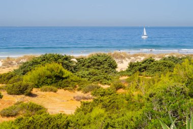 La Barrosa plajı, sular çekildiğinde, Sancti Petri, Chiclana de la Frontera, Cadiz, İspanya