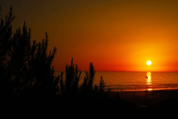 Sunset Barrosa Beach Sancti Petri Cadiz Spanyolország — Stock Fotó