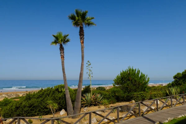 Barrosa Beach Odlivu Sancti Petri Chiclana Frontera Cádiz Španělsko — Stock fotografie