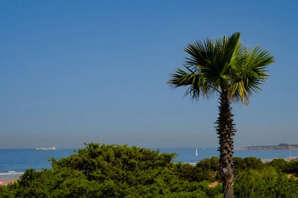 Barrosa Plajı Sular Çekildiğinde Sancti Petri Chiclana Frontera Cadiz Spanya — Stok fotoğraf