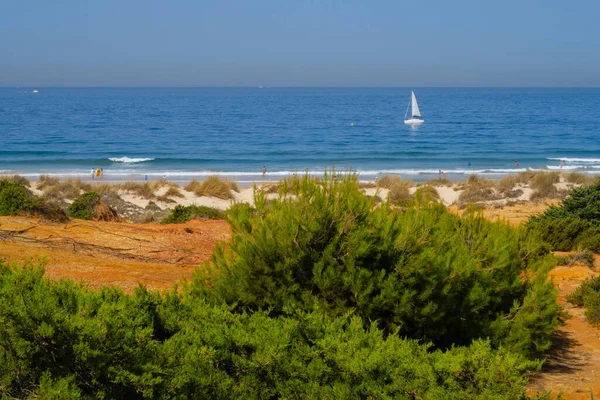 Playa Barrosa Marea Baja Sancti Petri Chiclana Frontera Cádiz España —  Fotos de Stock