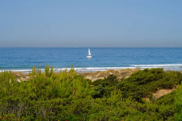 Παραλία Barrosa Χαμηλή Παλίρροια Στο Sancti Petri Chiclana Frontera Cadiz — Φωτογραφία Αρχείου