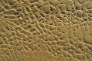 La Barrosa 'daki kumsal, Sancti Petri, Cadiz, İspanya