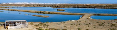 La Barrosa plajı, sular çekildiğinde, Sancti Petri, Chiclana de la Frontera, Cadiz, İspanya