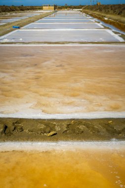 La Barrosa plajı, sular çekildiğinde, Sancti Petri, Chiclana de la Frontera, Cadiz, İspanya