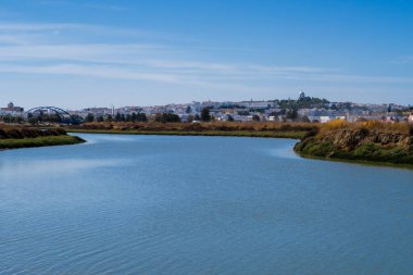 La Barrosa plajı, sular çekildiğinde, Sancti Petri, Chiclana de la Frontera, Cadiz, İspanya
