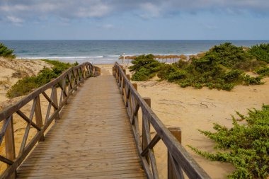 Wooden walkway that gives access to La Barrosa beach in Sancti Petri, Cadiz