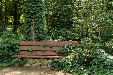 Madrid 'de Kampo del Moro denilen halk bahçeleri.