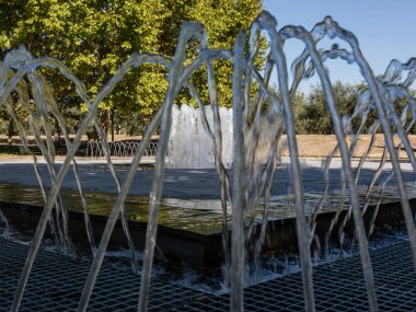 Madrid 'deki Manzanares lineer parkı