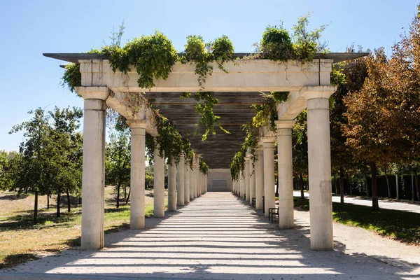 Parc Linéaire Manzanares Madrid — Photo