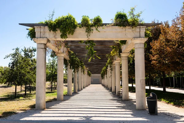 Parc Linéaire Manzanares Madrid — Photo