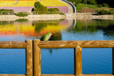 Madrid 'in Carabanchel ilçesine park et. Adı 