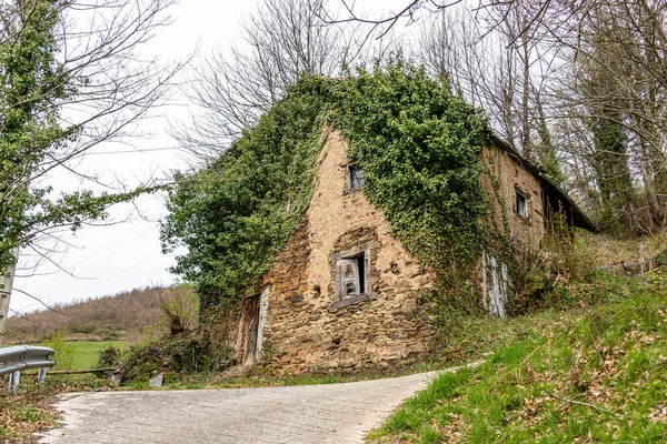 Maisons Anciennes Pierre Trascastro Asturies — Photo