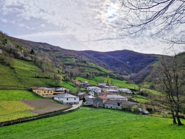 Leitariegos Vadisi, Asturias, İspanya, bahar başında