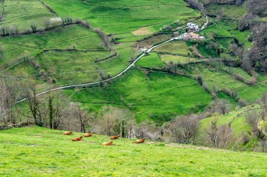 Leitariegos Vadisi, Asturias, İspanya, bahar başında