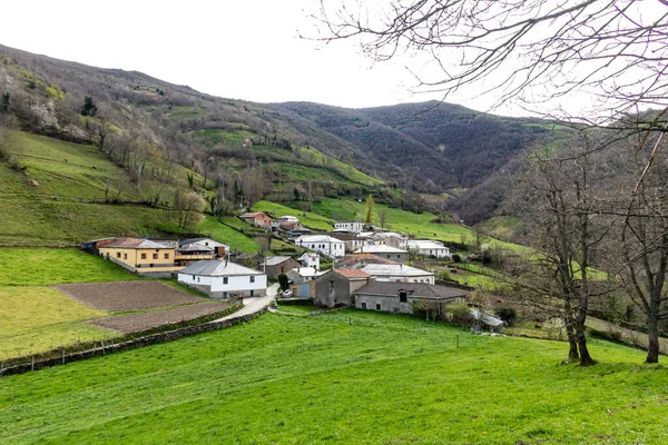 Dolina Leitariegos Asturia Hiszpania Początku Wiosny — Zdjęcie stockowe