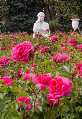 İspanya 'nın Zaragoza şehrinde Jose Antonio Labordeta adında bir halk parkı.