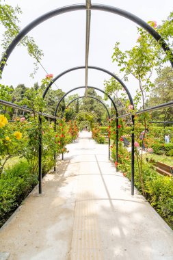 İspanya 'nın Zaragoza şehrinde Jose Antonio Labordeta adında bir halk parkı.