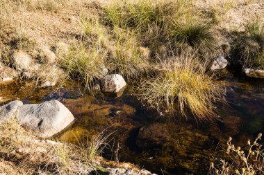 İspanya 'nın Madrid eyâletindeki Navalagamella kasabasındaki vahşi su akıntısı
