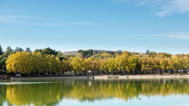 Lake of the Casa de Campo park with autumn colored trees in Madrid