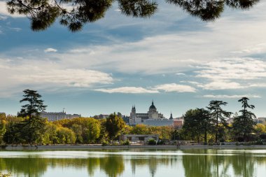 Madrid 'deki Casa de Campo parkında sonbahar ağaçlarıyla