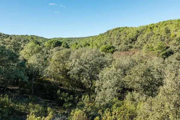 Madrid dağının köyü Navalagamella 'da sonbahar manzaraları