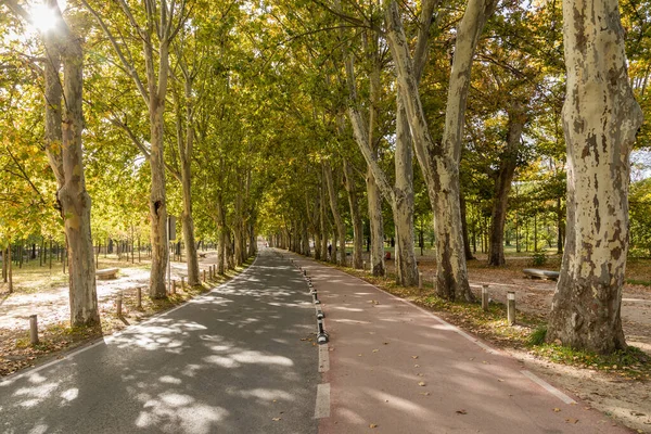 Autumn Landscape Park Called Casa Campo City Madrid Spain — Stock Photo, Image