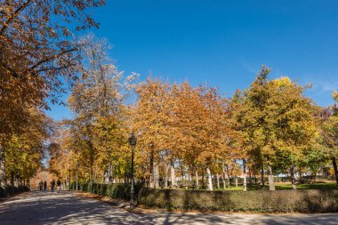 Madrid, İspanya 'da sonbahar renkleriyle El Retiro halk parkı