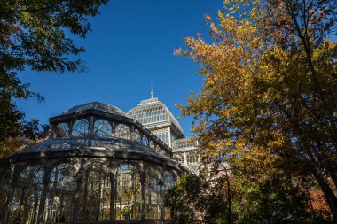 İspanya, Madrid 'de sonbahar renkleriyle El Retiro halk parkında Palacio de Cristal adlı sergi merkezi