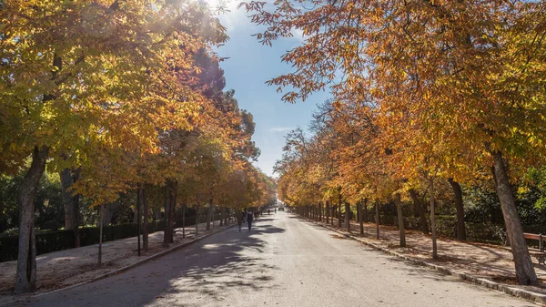 Retiro Public Park Autumn Colors Madrid Spain — Stock Photo, Image
