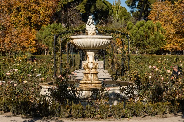 Громадський Парк Ель Ретіро Осінніми Кольорами Мадриді Іспанія — стокове фото