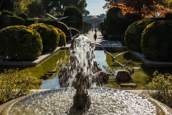 Общественный Парк Retiro Осенними Цветами Мадриде Испания — стоковое фото