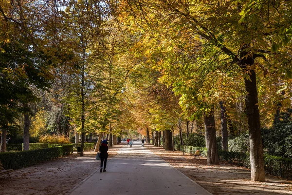 西班牙马德里的El Retiro公园 有秋天的色彩 — 图库照片