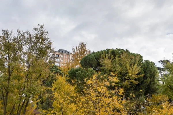 stock image Madrid West Park with trees tinted by autumn colors