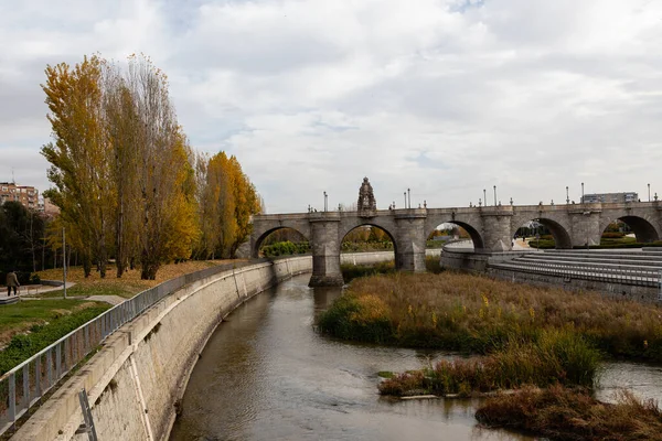 Toledský Most Oblasti Řeky Madrid Stromy Podzimními Barvami — Stock fotografie