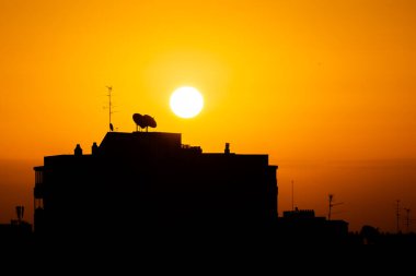 Madrid 'de gün doğumunda bina siluetleri ve televizyon antenleri