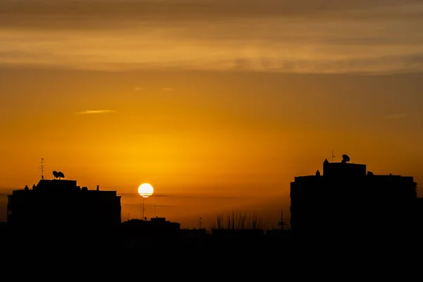 Silhouettes Buildings Television Aerials Sunrise Madrid — Stock Photo, Image