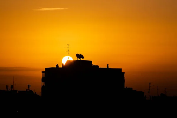 Sylwetki Budynków Anten Telewizyjnych Wschodzie Słońca Madrycie — Zdjęcie stockowe