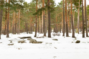 Snowy landscape of mountains port of Canencia in Madrid, Spain