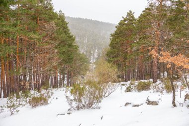 Snowy landscape of mountains port of Canencia in Madrid, Spain