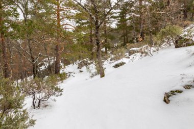 Snowy landscape of mountains port of Canencia in Madrid, Spain