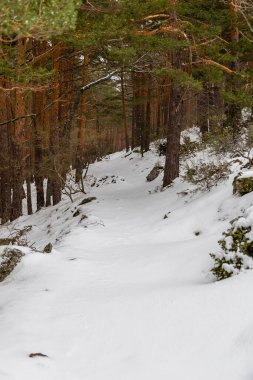 Snowy landscape of mountains port of Canencia in Madrid, Spain