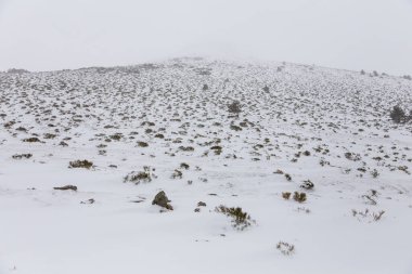 Madrid, İspanya 'daki Morcuera limanının karlı manzarası