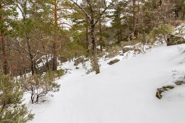 Snöigt Landskap Bergen Hamnen Canencia Madrid Spanien — Stockfoto