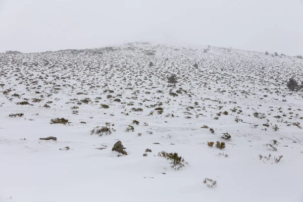 Snöigt Landskap Bergen Hamnen Morcuera Madrid Spanien — Stockfoto