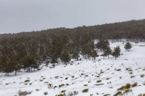 Sněžná Krajina Horského Přístavu Morcuera Madridu Španělsko — Stock fotografie