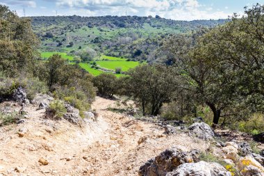 Nuevo Baztan, Madrid çevresinde ilkbaharda mısır gevreği tarlaları