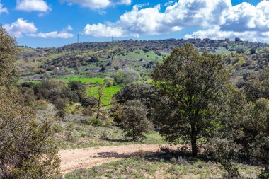 Nuevo Baztan, Madrid çevresinde ilkbaharda mısır gevreği tarlaları