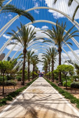 Valencia, İspanya 'daki Sanat ve Bilim Binaları' nın panoramik manzarası