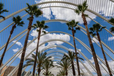 Valencia, İspanya 'daki Sanat ve Bilim Binaları' nın panoramik manzarası